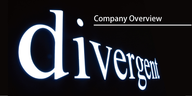 Company Overview